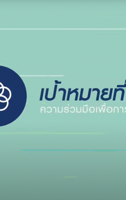 เป้าหมายที่ 17 ความร่วมมือเพื่อการพัฒนาที่ยั่งยืน (SDG 17: Partnerships for the goals)