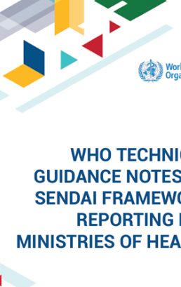 WHO technical guidance notes on Sendai framework reporting for ministries of health