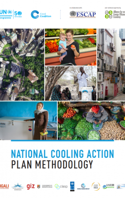 National Cooling Action Plan Methodology