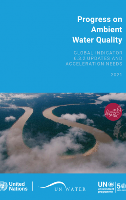 Progress on Ambient Water Quality – 2021 Update