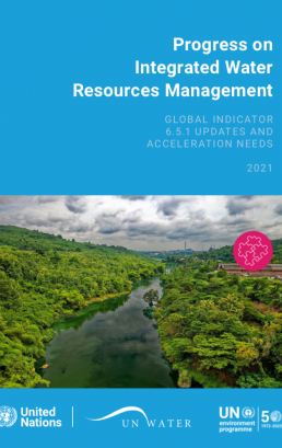 Progress on Integrated Water Resources Management – 2021 Update