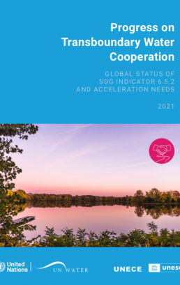 Progress on Transboundary Water Cooperation – 2021 Update