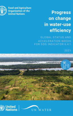 Progress on Water-Use Efficiency – 2021 Update