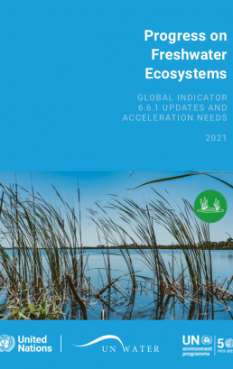 Progress on Water-related Ecosystems – 2021 Update