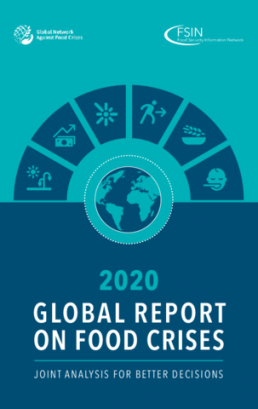 Global Report on Food Crises 2020
