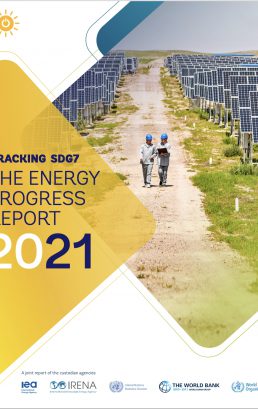 Energy Progress Report 2021