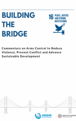 Building the Bridge To Reduce Armed Violence: Disrupt the Supply and Demand for Arms and Ammunition