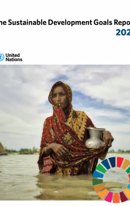 Sustainable Development Goals Report 2022