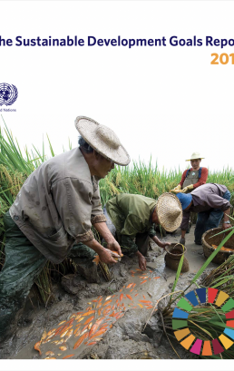 Sustainable Development Goals Report 2018