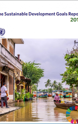 Sustainable Development Goals Report 2019