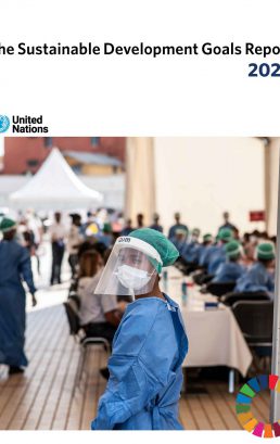Sustainable Development Goals Report 2020