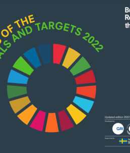 Business Reporting on the SDGs: An Analysis of the Goals and Targets